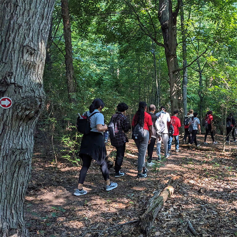 A group of students hiking with backpacks through the Helyar Woods